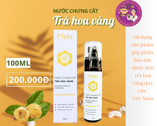 Nước chưng cất trà hoa vàng